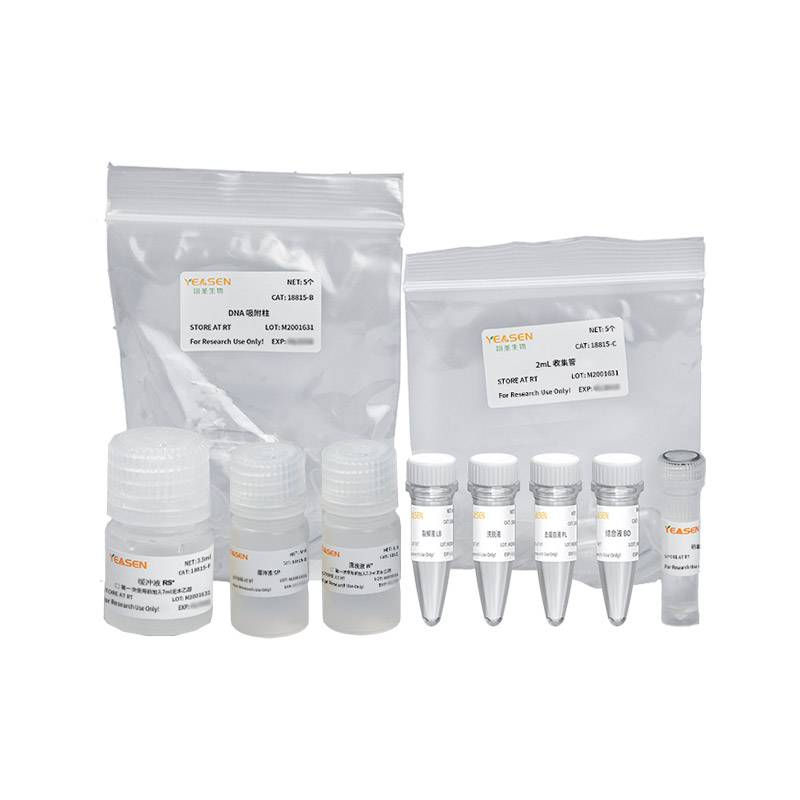土壤DNA提取试剂盒 MolPure® Soil DNA Kit  [可申请试用]产品图
