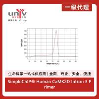 SimpleChIP® Human CaMK2D Intron 3 Primers