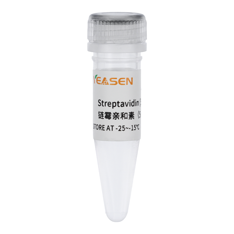 Streptavidin 链霉亲和素（5mg/ml）产品图