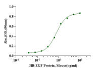 Recombinant Mouse HB-EGF Protein