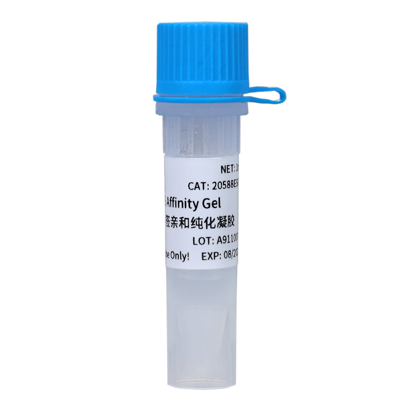 Anti-V5标签亲和纯化凝胶(Anti-V5 Affinity Gel)