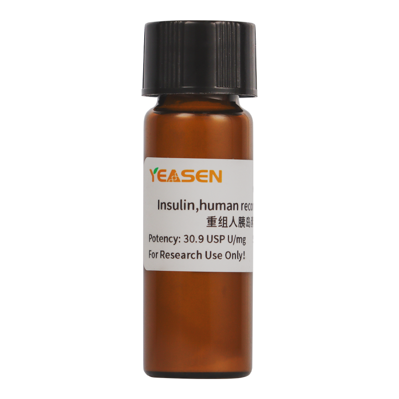 重组人胰岛素(Insulin,Human Recombinant)产品图