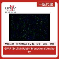 GFAP (E4L7M) Rabbit Monoclonal Antibody (Alexa Fluor® 488 Conjugate)