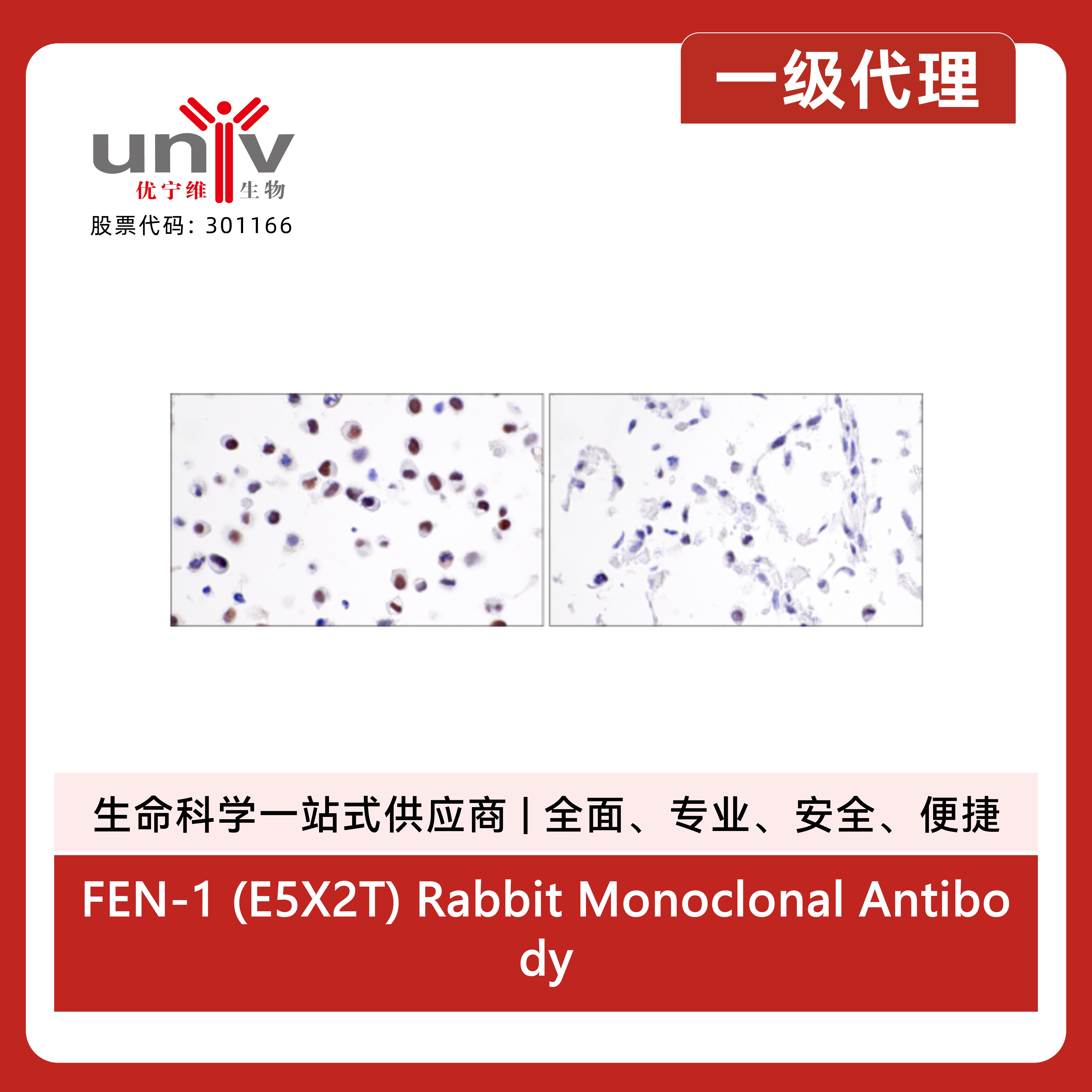 产品细节图片8