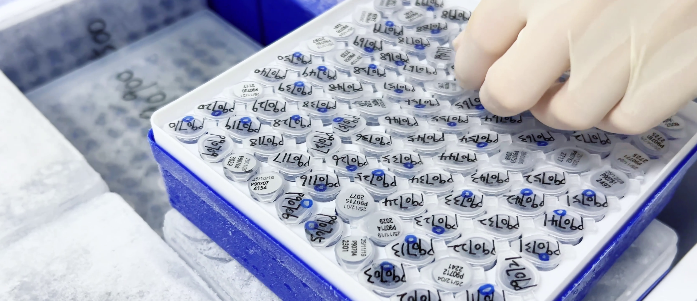 分子实验质粒载体规范保存实操指南