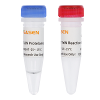 TelN端粒酶 elN Protelomerase (5 U/μL)