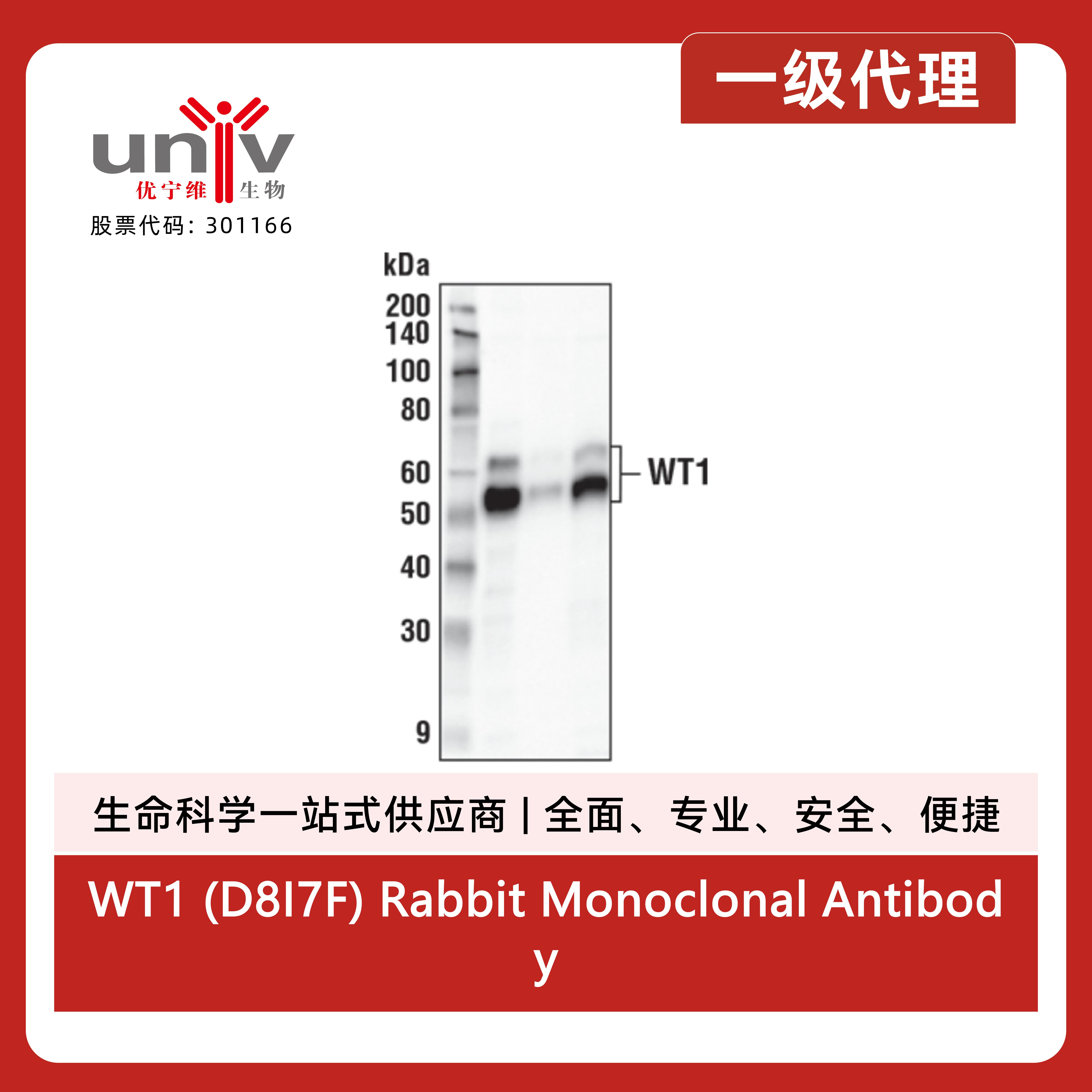产品细节图片2