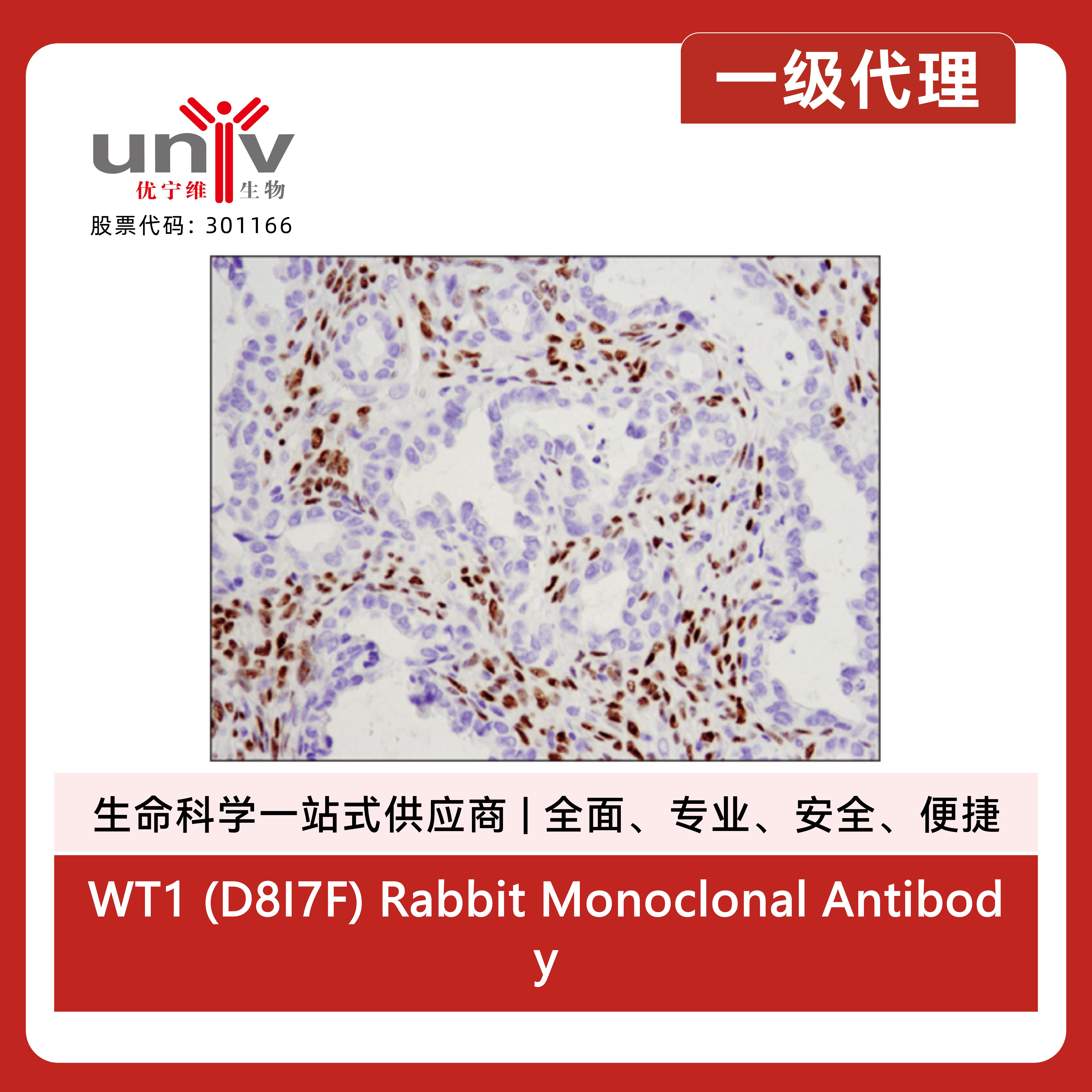 产品细节图片5
