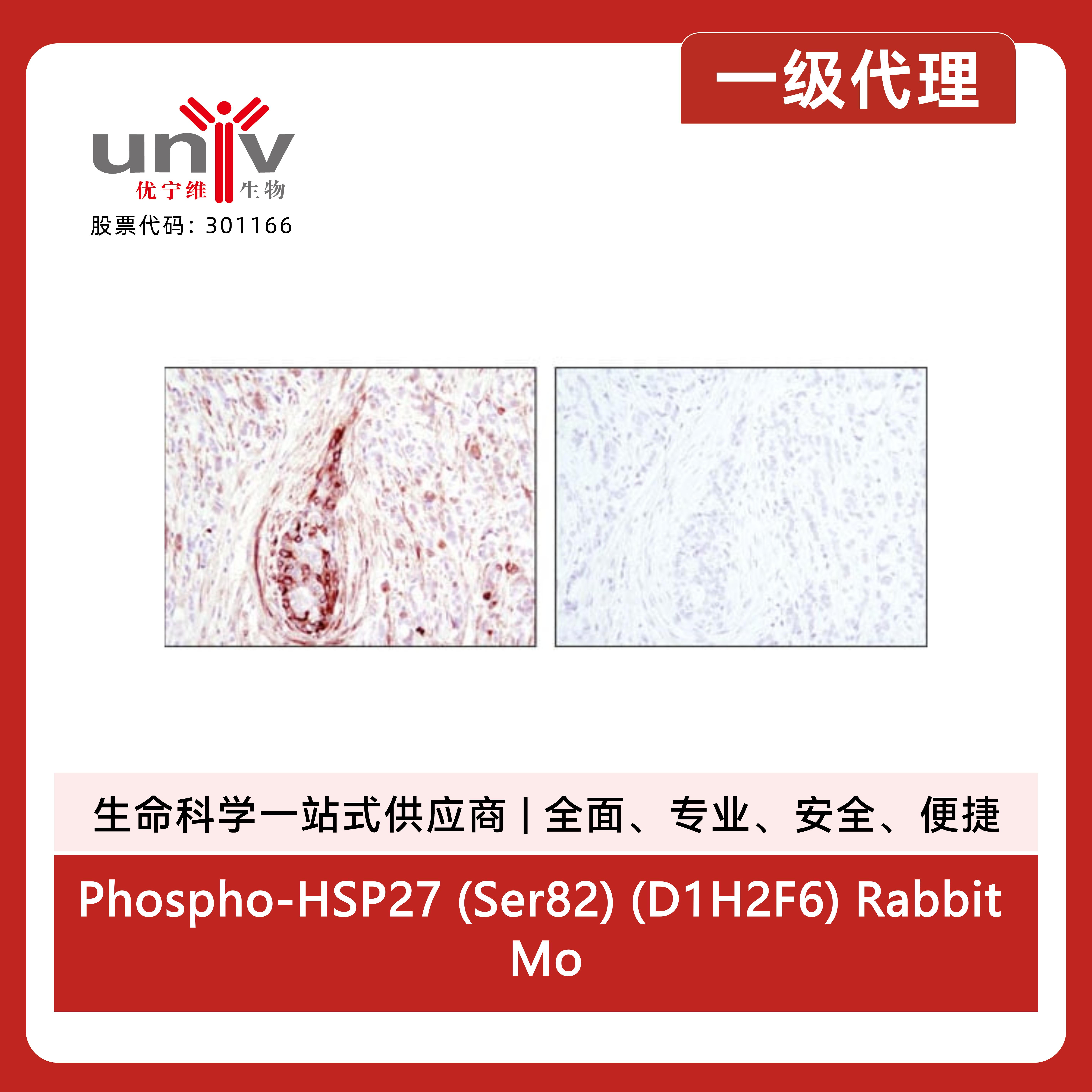 产品细节图片2