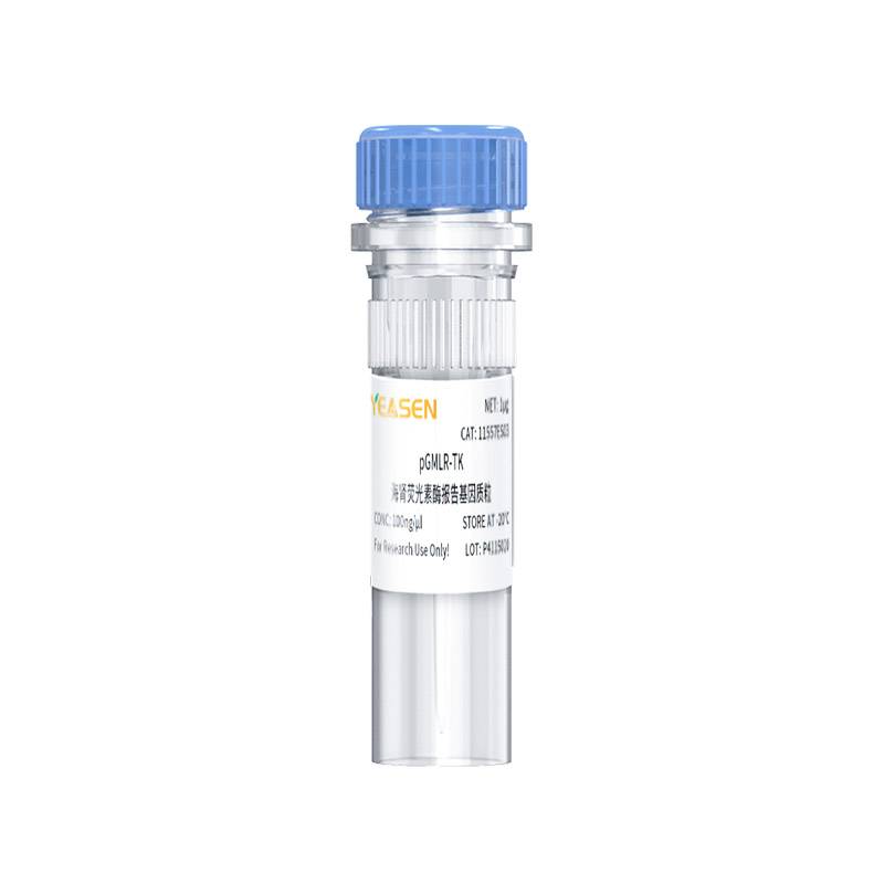 pGMLR-TK海肾荧光素酶报告基因质粒(pGMLR-TK luciferase reporter )产品图