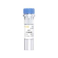 pGMLR-TK海肾荧光素酶报告基因质粒(pGMLR-TK luciferase reporter )