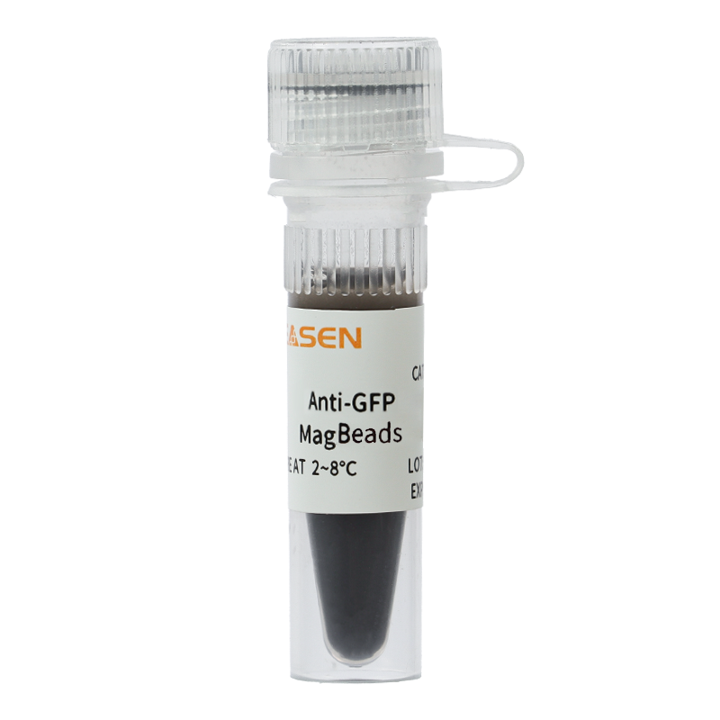 Anti-GFP免疫磁珠(Anti-GFP MagBeads)产品图