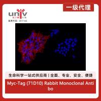 Myc-Tag (71D10) Rabbit Monoclonal Antibody (Alexa Fluor<sup>®</sup> 647 Conjugate)