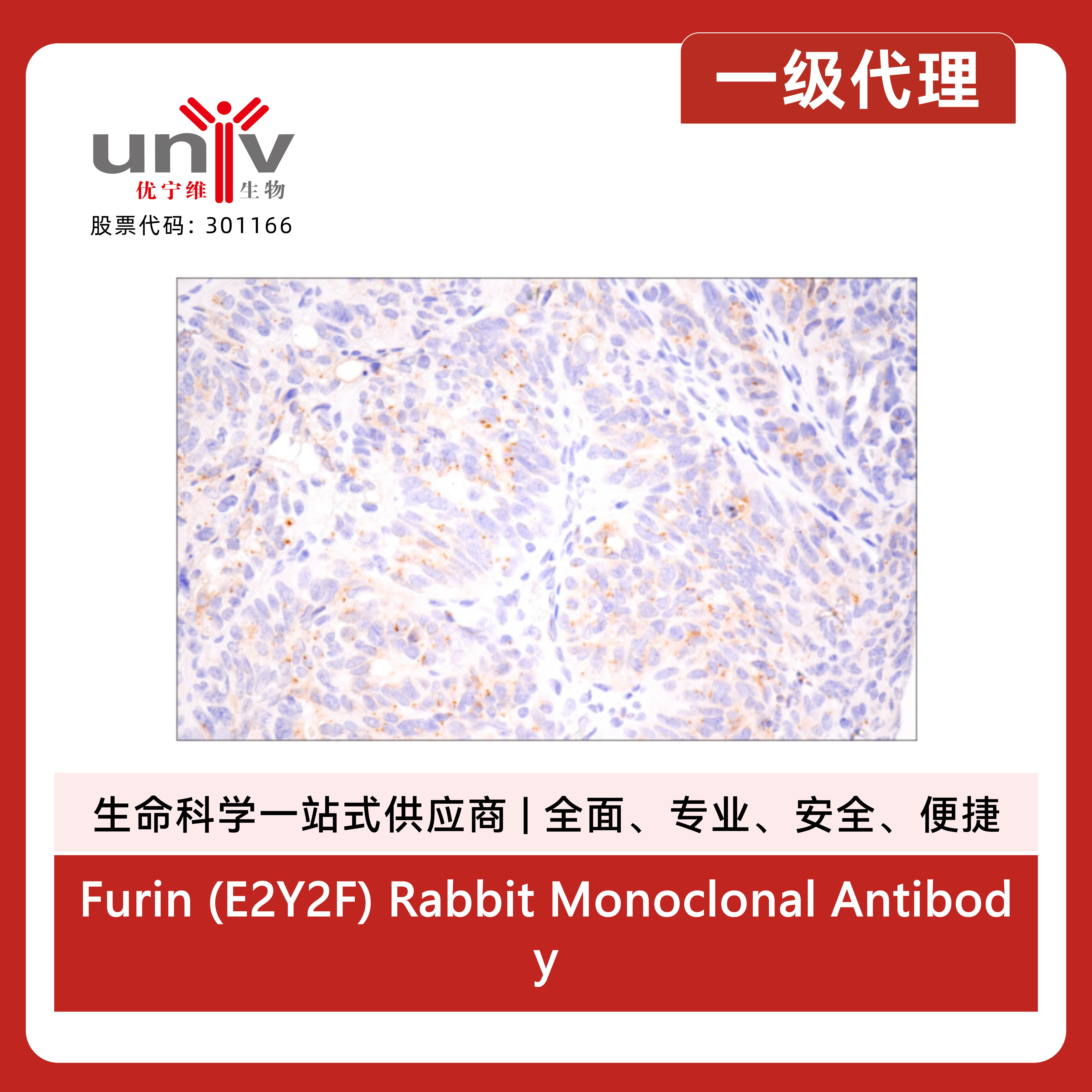 产品细节图片4