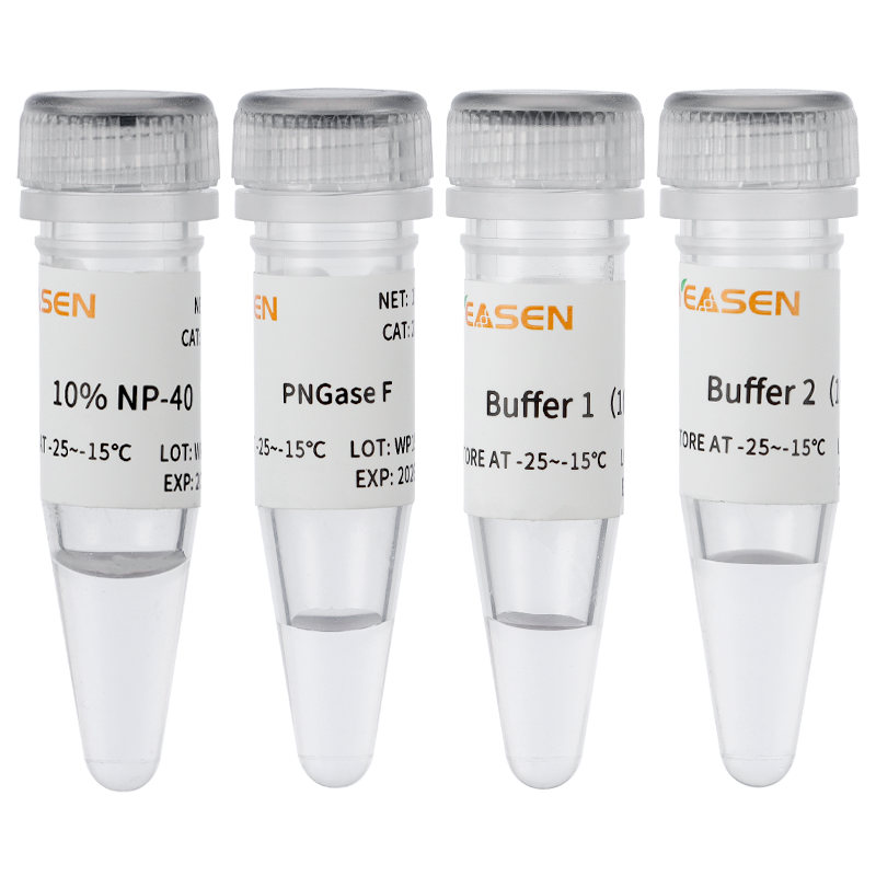 N-糖酰胺酶F N-糖苷酶 F (PNGase F) 去糖基化酶