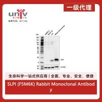 SLPI (F5M6K) Rabbit Monoclonal Antibody