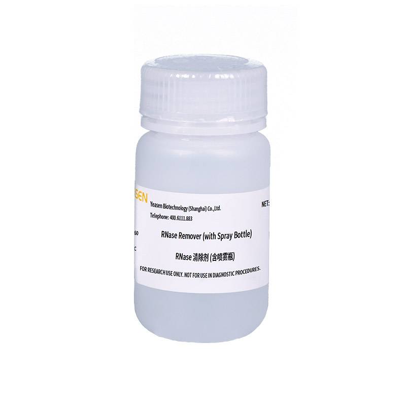 固相RNase清除剂(含喷雾瓶) Surface RNase Remover