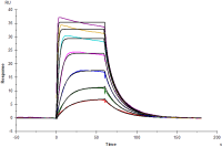 Recombinant Human IL-2Rα Protein(His Tag)