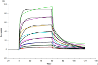 Recombinant Human IFNAR1 Fc Chimera Protein(Human IgG1 Fc)