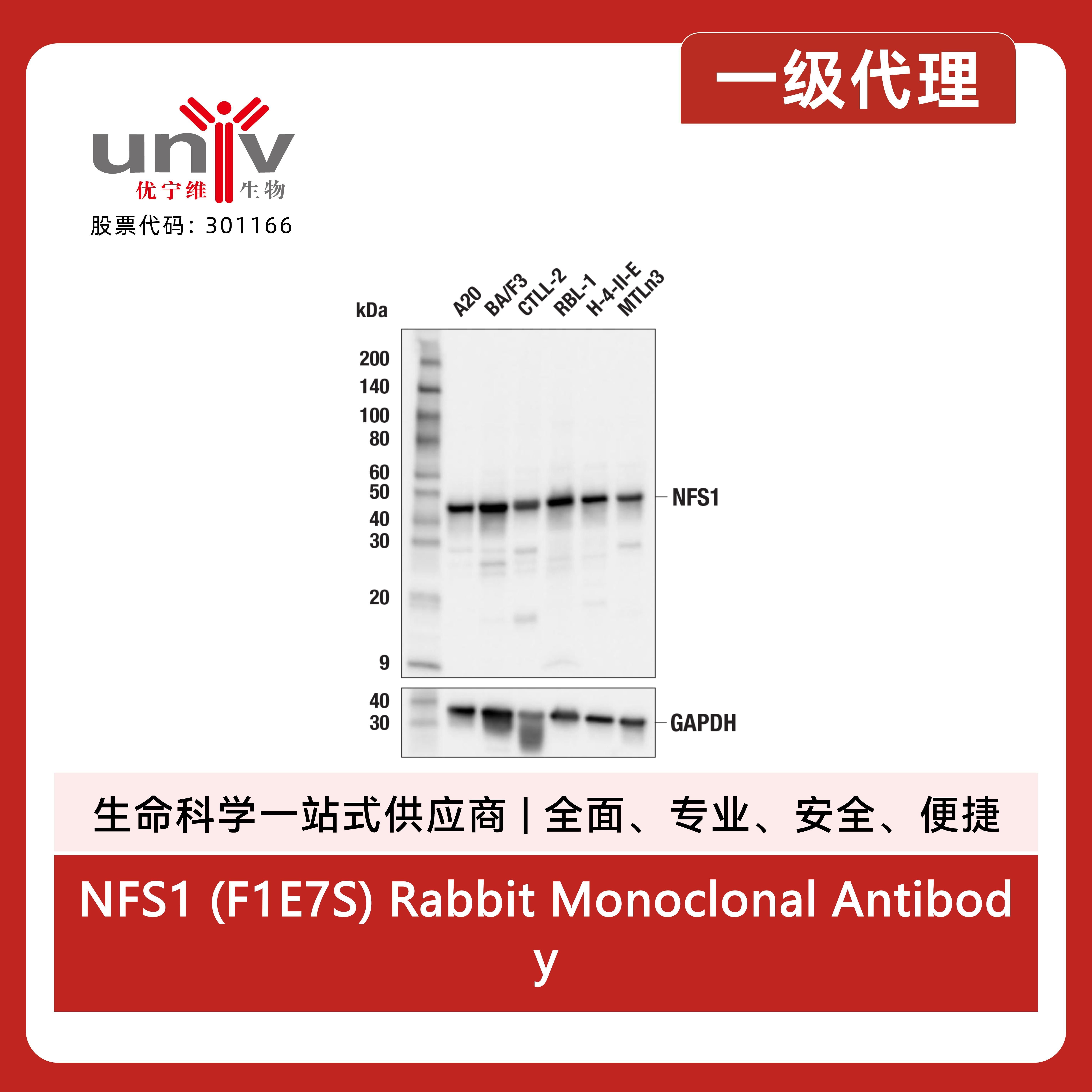 产品细节图片2