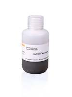 Hieff NGS RNA Cleaner RNA纯化磁珠
