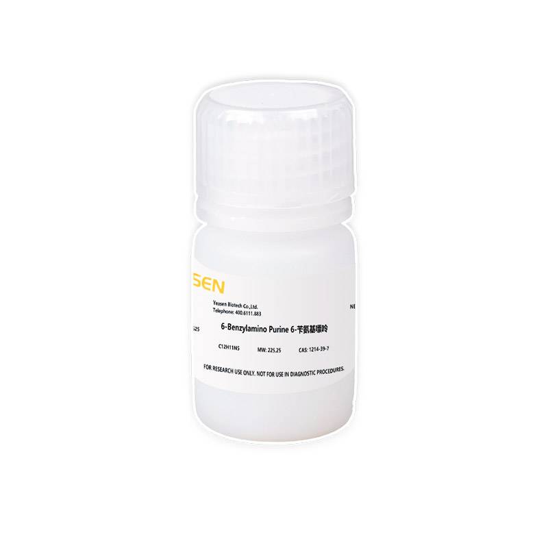 6-苄氨基嘌呤 6-Benzylamino Purine产品图