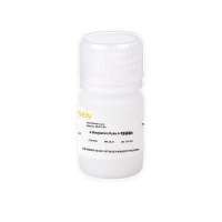 6-苄氨基嘌呤 6-Benzylamino Purine