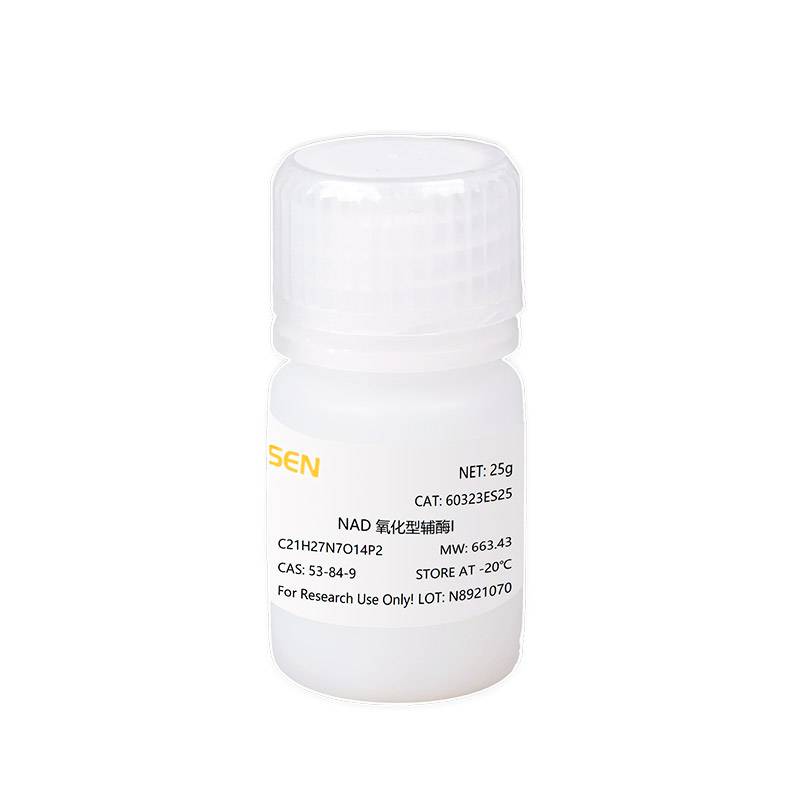 NAD氧化型辅酶I 脱氢酶辅酶(β-NAD+)