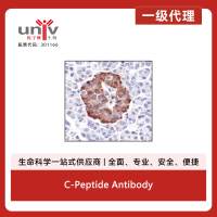 C-Peptide Antibody