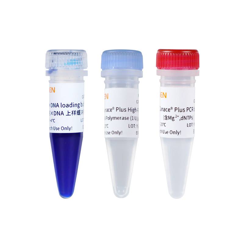 高保真DNA聚合酶(Hieff Canace® Plus High-Fidelity DNA Polymerase)