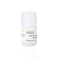 慢病毒浓缩试剂盒 Lentivirus Concentration Solution