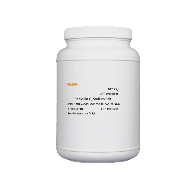 青霉素钠 青霉素G钠盐 Penicillin G Sodium Salt(β-内酰胺类抗生素)产品图