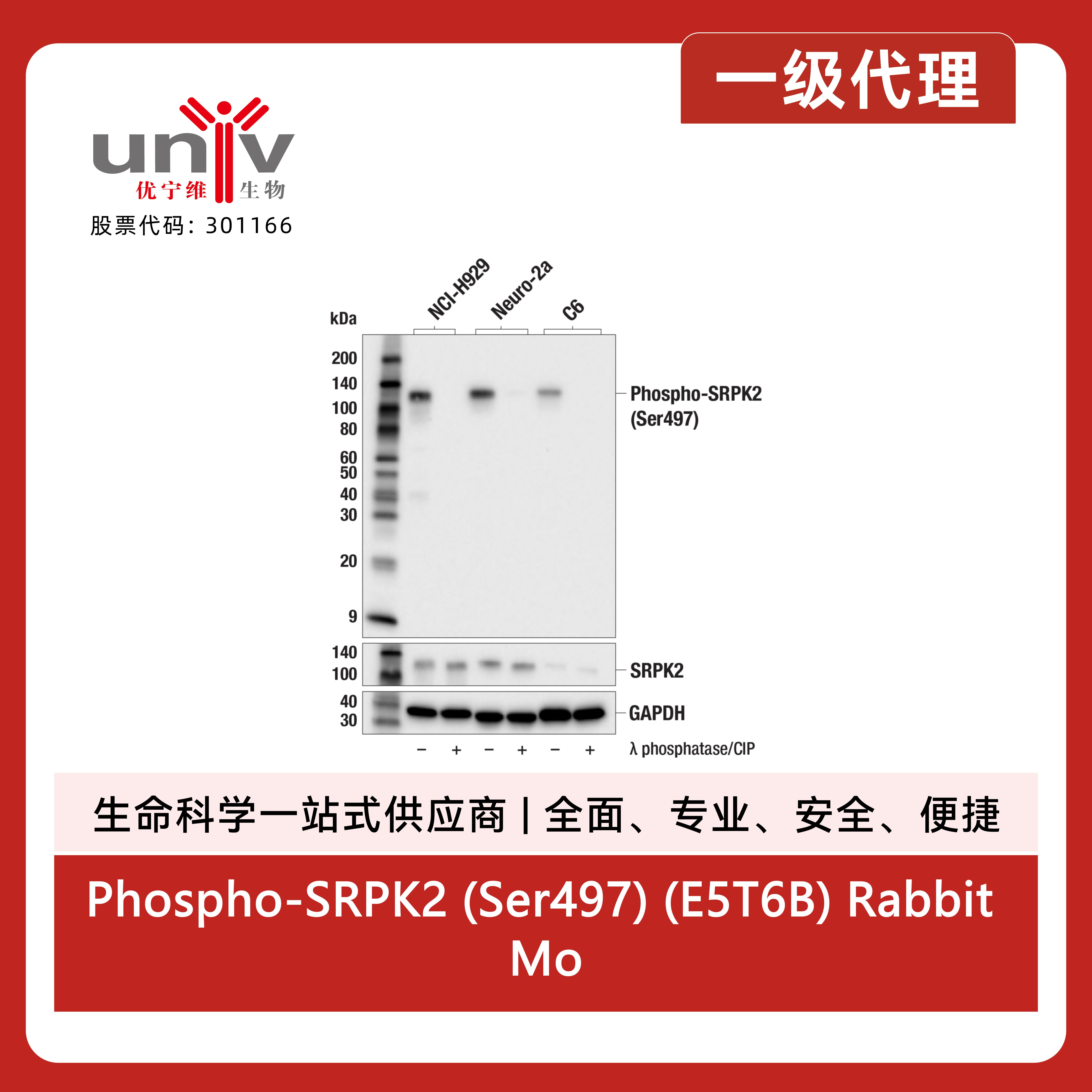 产品细节图片1