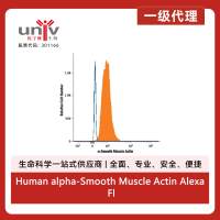 Human alpha-Smooth Muscle Actin Alexa Fluor 594 MAb (Cl 1A4) (25 Tests)