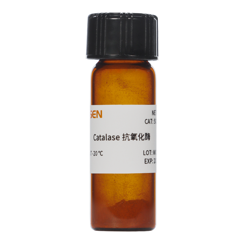 Catalase 抗氧化酶 (CAT)