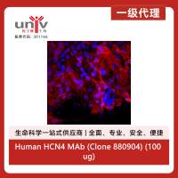 Human HCN4 MAb (Clone 880904) (100 ug)