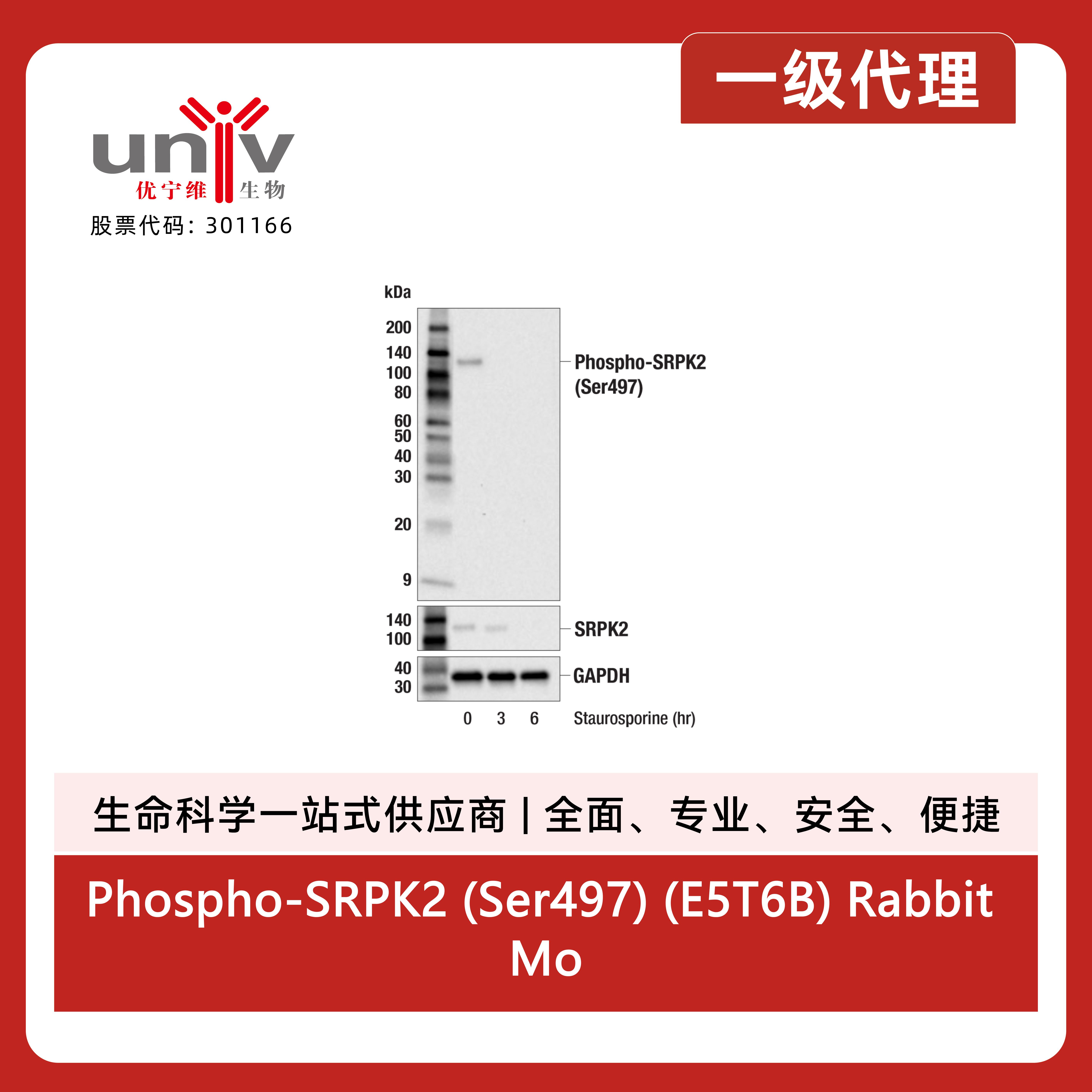 产品细节图片2