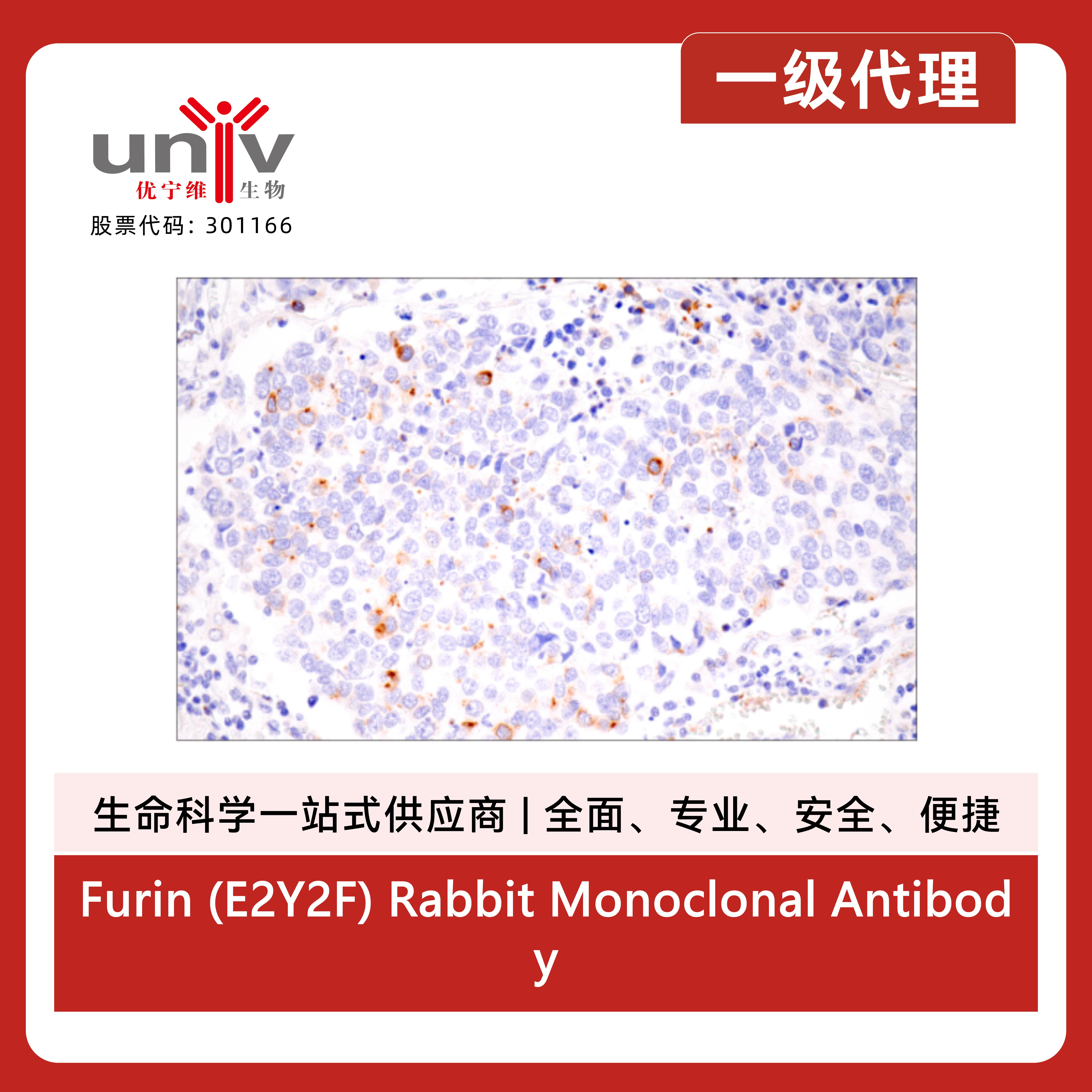 产品细节图片6