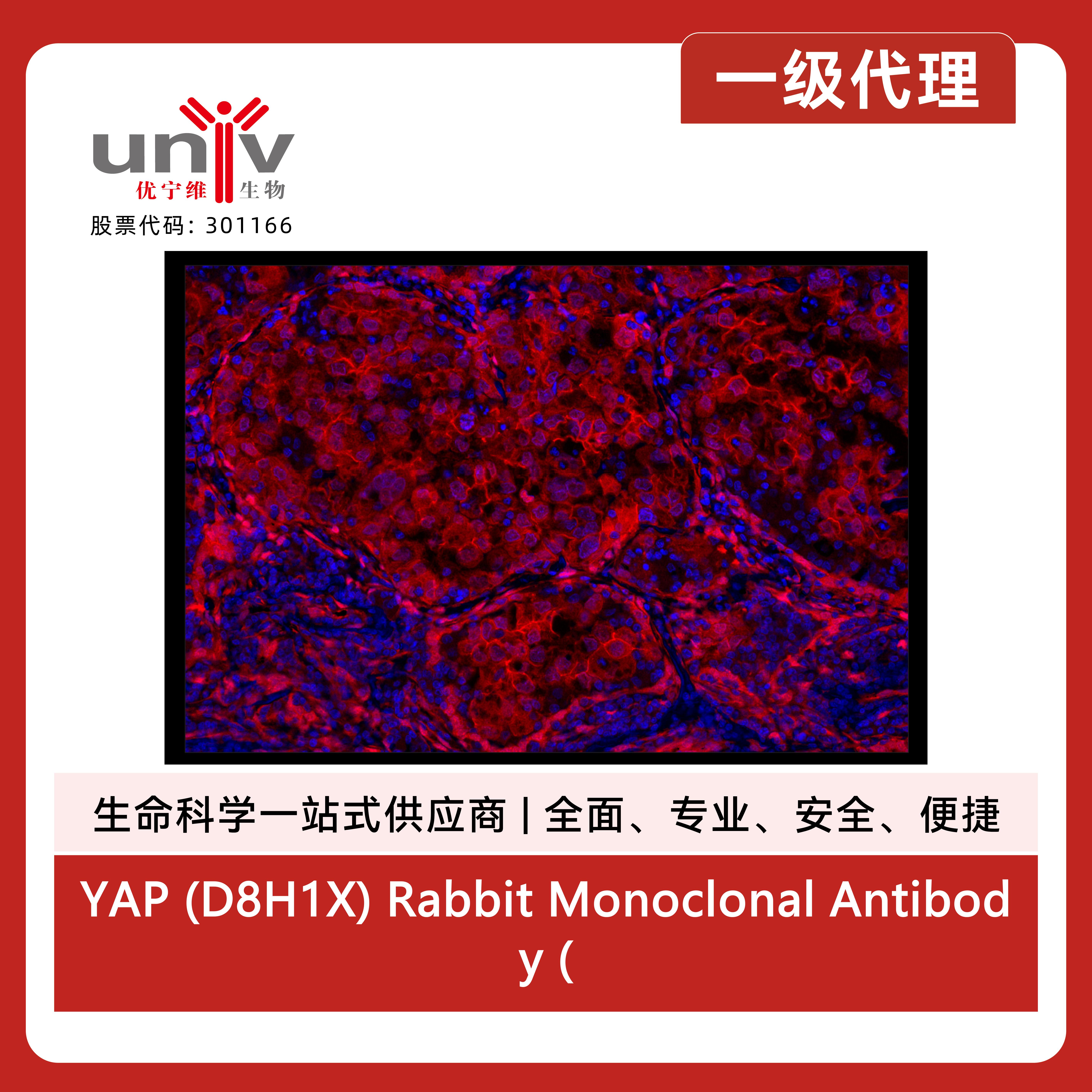 产品细节图片1
