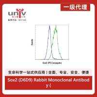 Sox2 (D6D9) Rabbit Monoclonal Antibody (PE Conjugate)