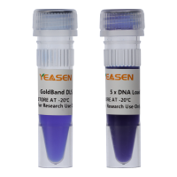 GoldBand 5000 DNA Marker