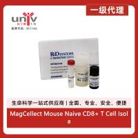 MagCellect Mouse Naive CD8+ T Cell Isolation Kit (1 Kit)