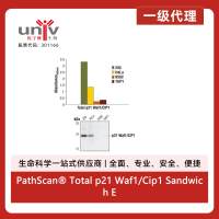 PathScan® Total p21 Waf1/Cip1 Sandwich ELISA Kit