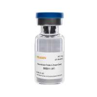 重组蛋白G9(冻干粉) Recombinant Protein G (Freeze-Dried)