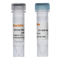 虾碱性磷酸酶Shrimp Alkaline Phosphatase (SAP) (1U/μl)