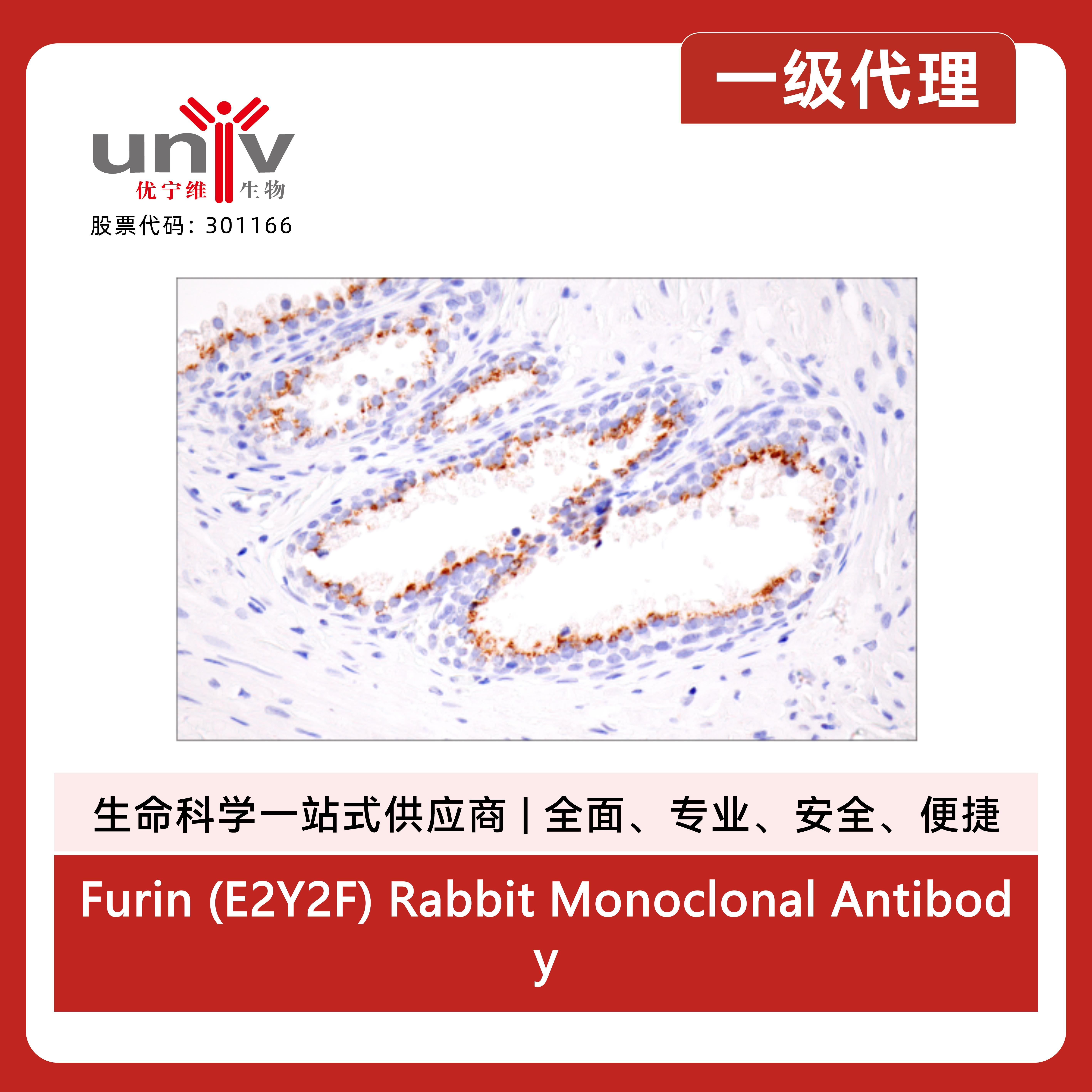 产品细节图片7