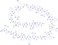 Amyloid β-Protein (1-40) (scrambled)