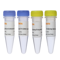 全能型DNA建库试剂盒(PCR-Free) V2