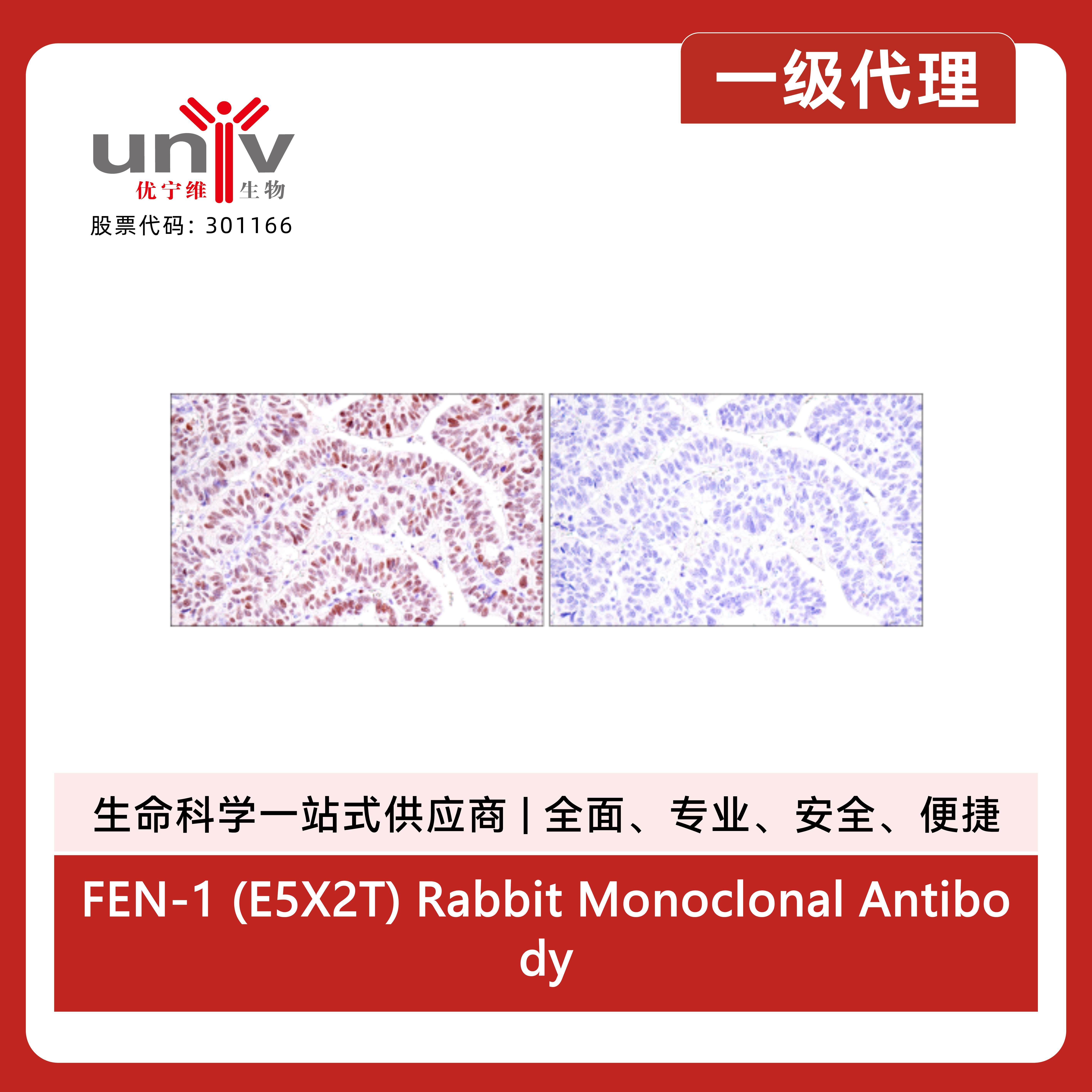 产品细节图片7