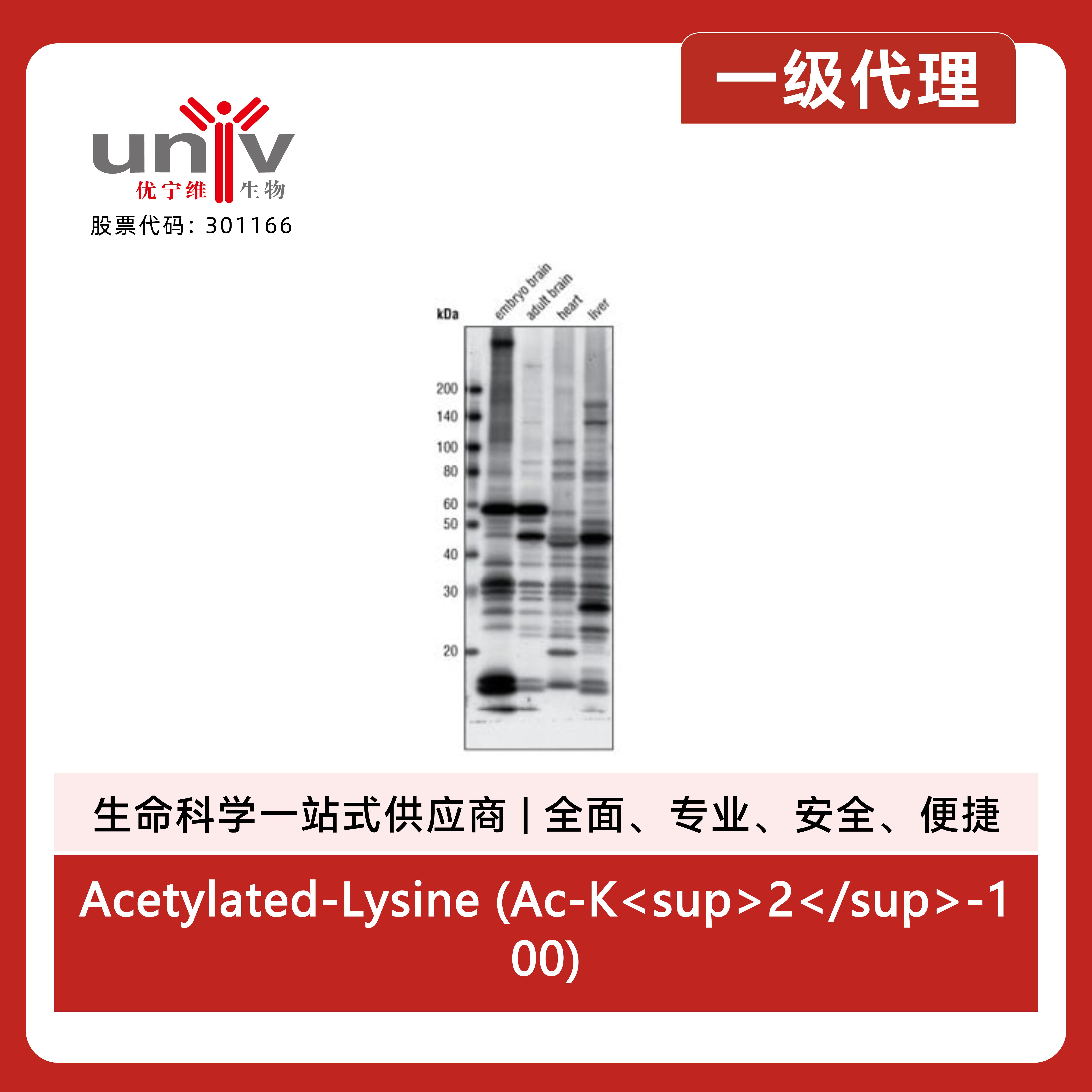 产品细节图片2